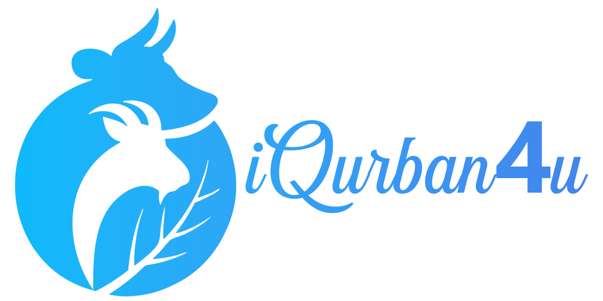 main_logo