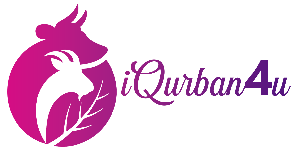 main_logo